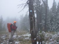 Fog and snow  on Nevada Mtn